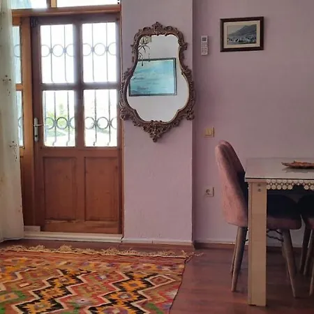 Nergiz Kalkan